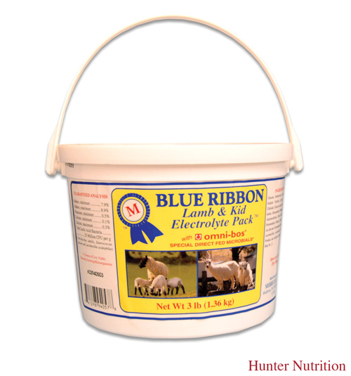 Blue Ribbon Plex-Clean Acrylic & Plastic Cleaner 16 oz Liquid