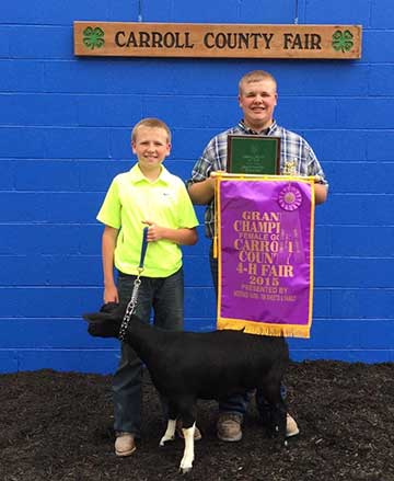2015 Indiana State Fair 1st Place Flock & Premier Exhibitor shown by Roger Suffolks.