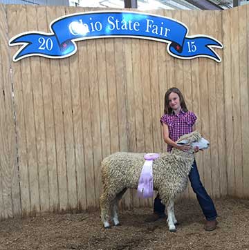 Reserve Champion AOB Wool Show, 2015 Ohio State Fair Shown by Laurie Baughman.