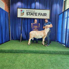 2024 Indiana State Fair