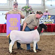 2024 Ohio State Fair Winner