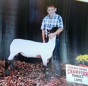 Reserve Champion Lamb at the Coshocton County Fair. Shown by Cole Tatro.