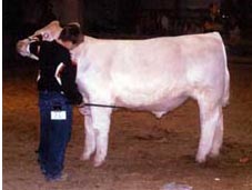 2005 Indiana Open Show