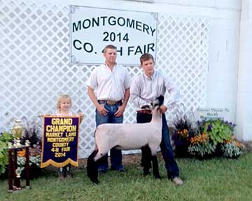 Mitchell Family 2014 Grand Champion Market Lamb